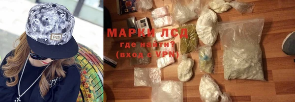 гидра Вяземский