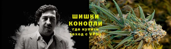 ГАЛЛЮЦИНОГЕННЫЕ ГРИБЫ Вязьма