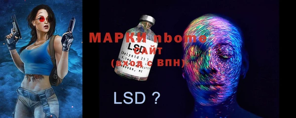 гидра Вяземский