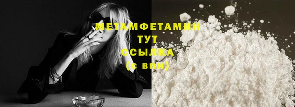 гидра Вяземский
