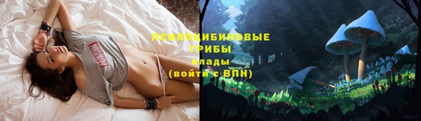 ГАЛЛЮЦИНОГЕННЫЕ ГРИБЫ Вязьма