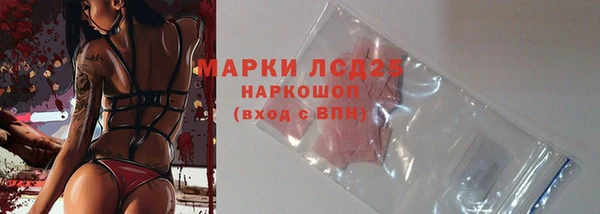 ГАЛЛЮЦИНОГЕННЫЕ ГРИБЫ Вязьма
