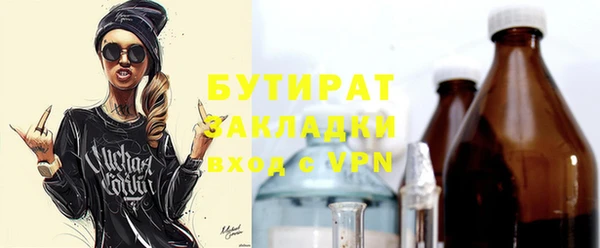 гидра Вяземский