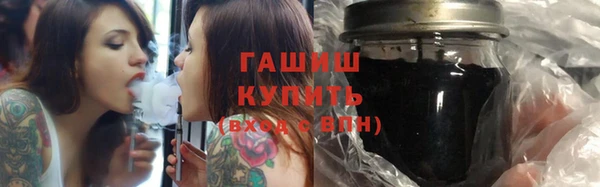 гидра Вяземский