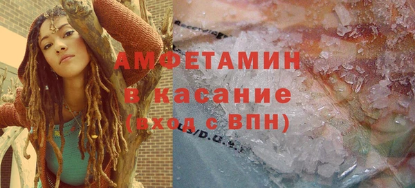 гидра Вяземский