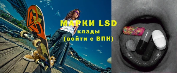 гидра Вяземский