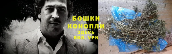 гидра Вяземский