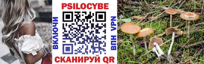 Галлюциногенные грибы прущие грибы  Одинцово 